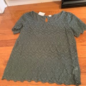 Sheer lace short sleeve  top. Olive green